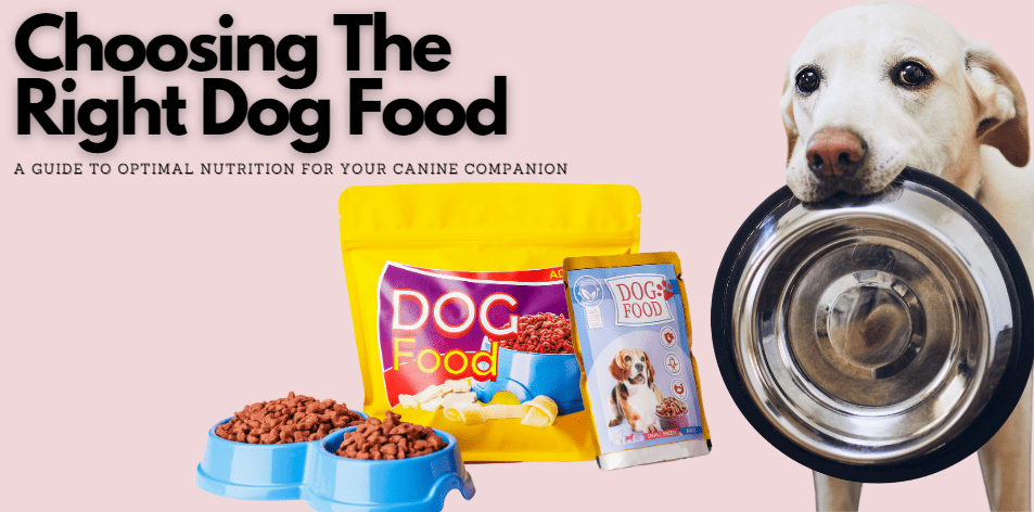 How to Choose the Right Pet Food in the U.S.: What Every Pet Owner Should Know
