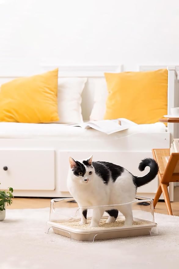 (6-Pack) Disposable Cat Litter Boxes - Low Entry, Shallow for Senior Cats - Easy for Mobility-Challenged Cats, Small Travel Cat Litter Box