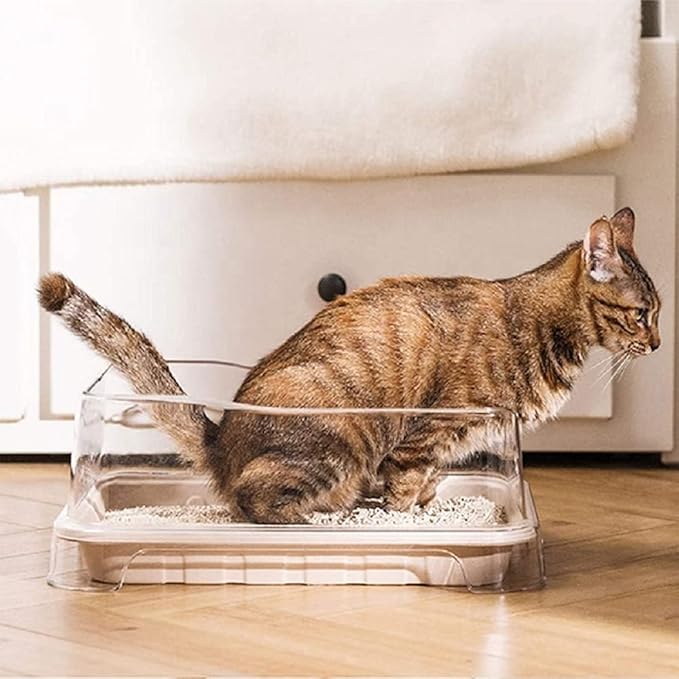 1 Transparent Cat Litter Splash Shield Plus (5-Pack) Disposable Litter Boxes. Small, Quick and Easy Disposal. Shallow for Small Pets, Senior Cats, Kittens