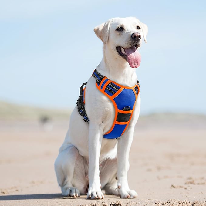 Eagloo Dog Harness for Large Dogs, No Pull Service Vest with Reflective Strips and Control Handle, Adjustable and Comfortable for Walking, No Choke Pet Harness with 2 Metal Rings, Blue & Orange, L