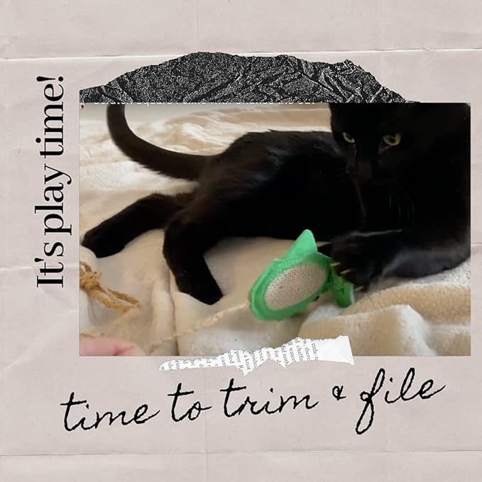 De' Vora Cat Scratcher Toy - Scratch, Play & File - Catnip Toys for Scratching Post - Cat