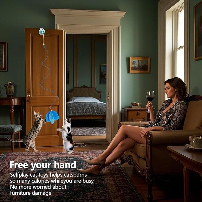 Cat Toys Interactive for Indoor, Cats Toy Hanging Door Electric for Bored,Feathers Toy Kitten Rechargeable Door Hanging Automatic String with 4pcs Feathers Toys(Blue)