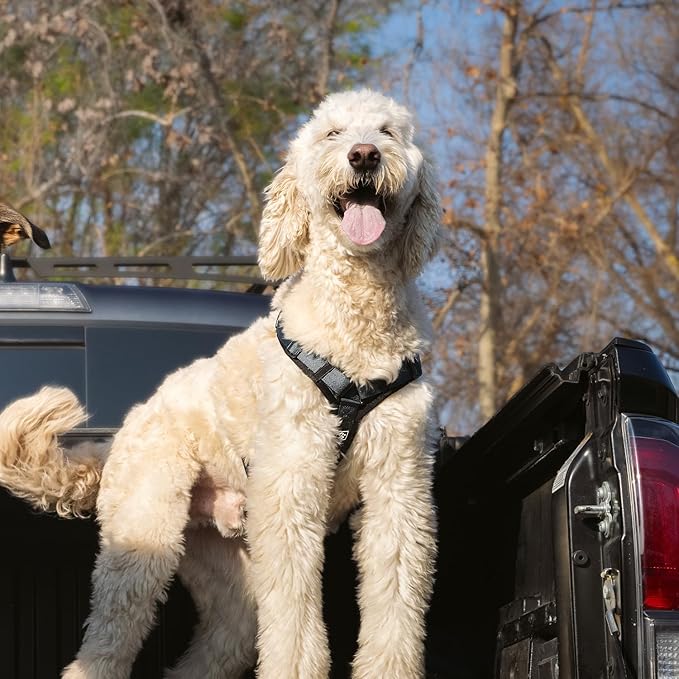 CLEPAWS Dog Harness for X-Large Dogs, No Pull Dog Harness Easy Walk with Metal Hardware, Ergonomic Y-Shaped Design, Soft Padding, Padded Handle, Durable High-Tensile Nylon (Nightfall, XL)