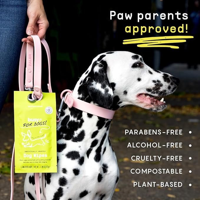 Busy Co. - Hypoallergenic Dog Wipes, Cleaning and Odor Control Grooming Wipes for Paws, Body, and Butt, Perfect for Puppy and Adult Dogs, Individually Wrapped, Unscented (Unscented, 20 Grooming Wipes)