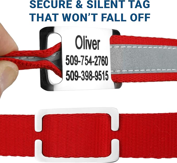 GoTags Reflective Personalized Dog Collar with Nameplate, Adjustable Dog Collar with Custom Engraved Steel Slide On Pet ID Tag, Silent, No Noise Dog Tag for Large Medium or Small (Red, Small)
