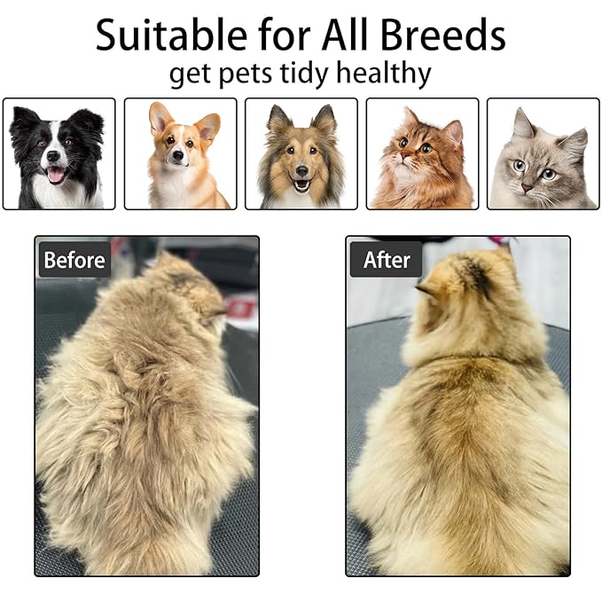 Cat Steam Brush For Shedding, Steamy Dog Grooming Brush With 2-Speed Spray, Blue Light And Release Button, Rechargeable Water Pet Hair Brushes Wet Self Cleaning Cat Spa Brush Cat Comb (White)