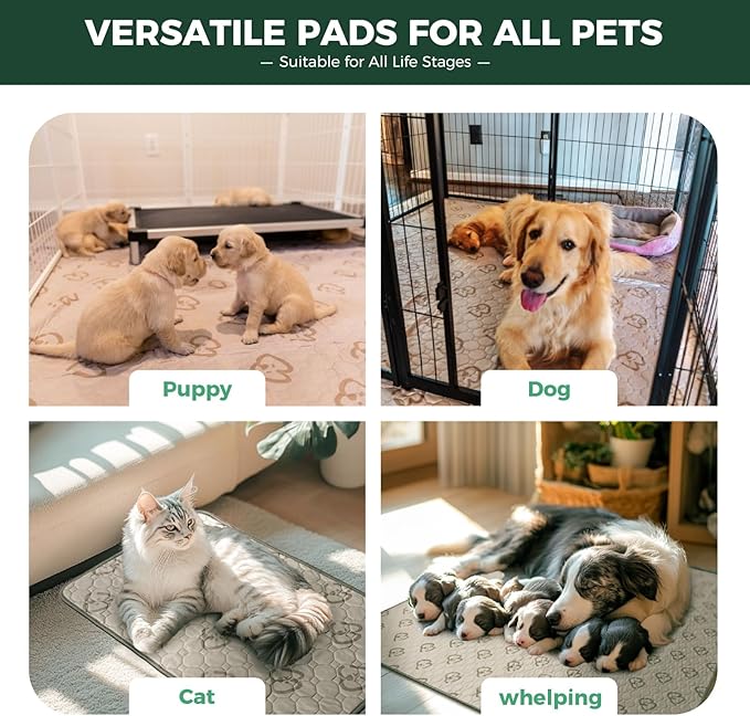 FXW Washable Pee Pads for Dogs, Puppy Pads with Super Absorbent, Specifically Designed for Potty Training, Square, 39" x 39", 2 Packs