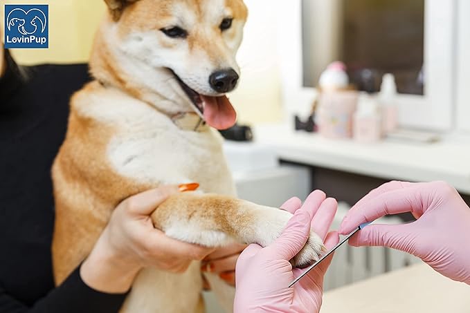 Dog Nail Filer, Professional Nail Grooming Tool, Dog and Cat Nail Files, for Smoothing Rough Edges of Pet’s Nails, Best Nail Filer for Small/Large Dogs & Cats (1 Dog Nail Filer)