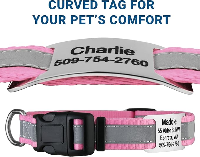 GoTags Reflective Personalized Dog Collar with Nameplate, Adjustable Dog Collar with Custom Engraved Steel Slide On Pet ID Tag, Silent, No Noise Dog Tag for Large Medium or Small (Pink, Medium)