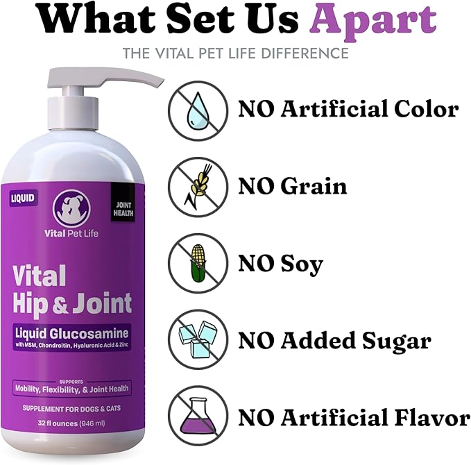 Liquid Glucosamine for Dogs Cats & Horses with Chondroitin, MSM, and Hyaluronic Acid, Hip & Joint Supplement for Mobility & Comfort, Supports Joint Health & Flexibility, Mobility, & Protection, 32 oz