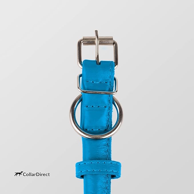 CollarDirect Rolled Leather Dog Collar, Soft Padded Round Puppy Collar, Handmade Genuine Leather Collar Dog Small Large Cat Collars 13 Colors (8-11 Inch, Light Blue Textured)