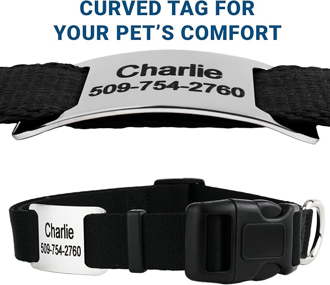 GoTags Reflective Personalized Dog Collar with Nameplate, Adjustable Dog Collar with Custom Engraved Steel Slide On Pet ID Tag, Silent, No Noise Dog Tag for Large Medium or Small (Light Blue, Large)