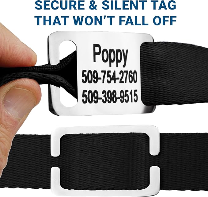 GoTags Reflective Personalized Dog Collar with Nameplate, Adjustable Dog Collar with Custom Engraved Steel Slide On Pet ID Tag, Silent, No Noise Dog Tag for Large Medium or Small (Beige, Small)