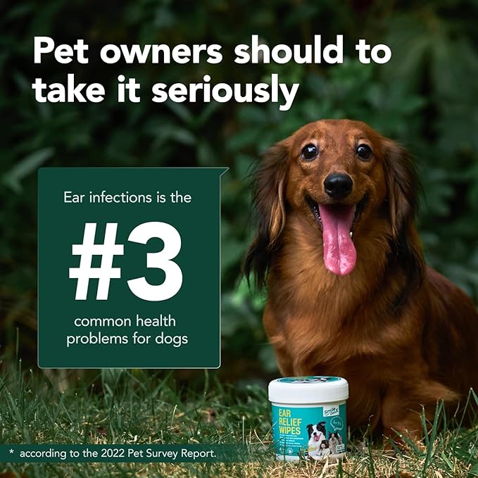 Dog Ear Cleaner Wipes - Dog Ear Infection Treatment Fast Relief from Ear Itching and Inflammation, Cat Ear Wipes Gently Remove Ear Wax Debris and Smelly (50 Pcs, Lavender)