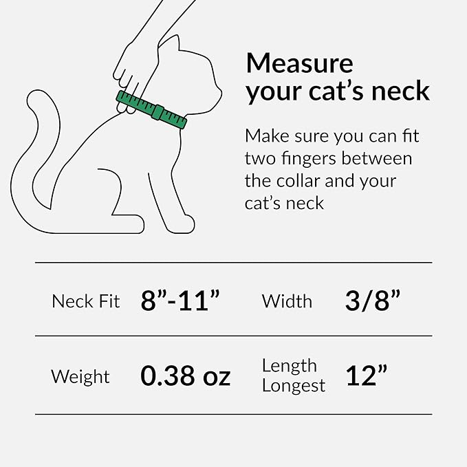 CollarDirect Leather Cat Collar with Bell - Kitten Collar, Small and Big Cat Collar for Boy Cats, Girl Cats with Safety Elastic Strap (Neck Fit 8"-11", Mint Green)