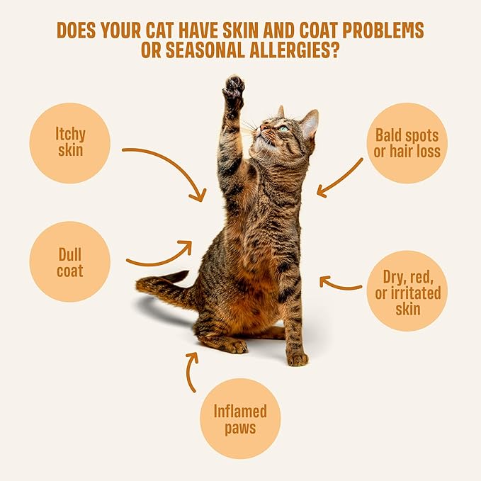 ivvi Skin & Coat for Cats β Functional Creamy Snack with Salmon Oil, Algae Oil, Zinc, Collagen & Biotin β Supports Skin and Fur Health β 30 x 0.53 oz Sachets β with Real Tuna
