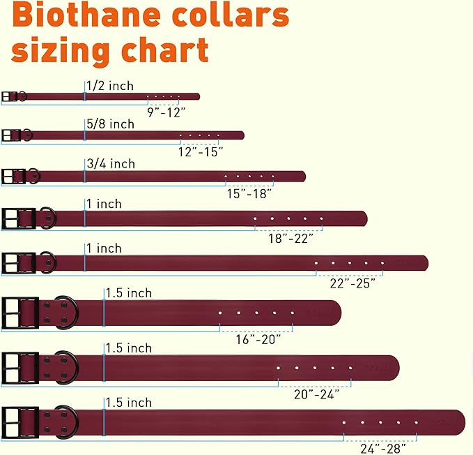 Dogline Biothane Waterproof Dog Collar Strong Coated Nylon Webbing with Black Hardware Odor- Proof for Easy Care Easy to Clean High Performance Fits Small Medium or Large Dogs, Merlot Burgundy