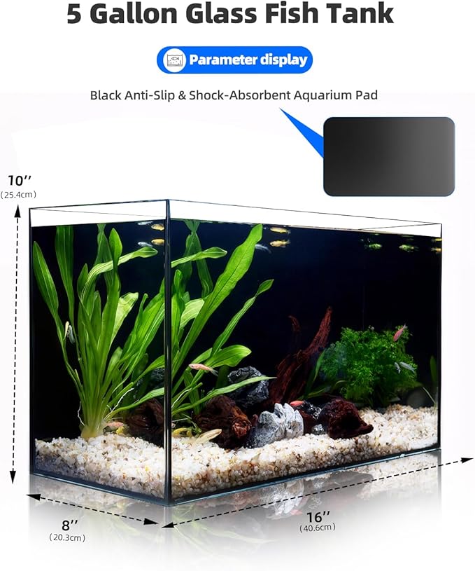 5 Gallon Clear Glass Fish Tank, Easy to Maintain Small Aquariumfor Betta, Goldfish, Snail,Shrimp and Aquatic Planting