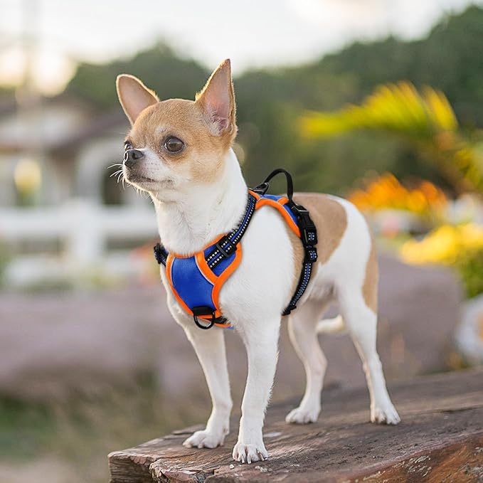Eagloo Small Dog Harness No Pull, Service Vest with Reflective Strips and Control Handle, Adjustable and Comfortable for Walking, No Choke Pet Harness with 2 Metal Rings, Blue & Orange, XS