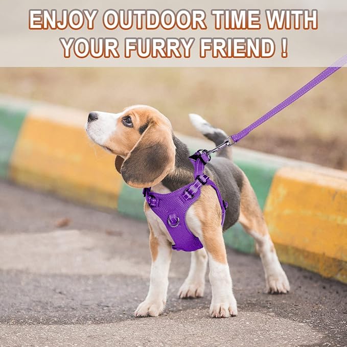 Dog Harness Step in Dog Vest Harness, Reflective Adjustable Puppy No Pull Harness Breathable Soft for Small and Medium Dogs Cats, Purple, S