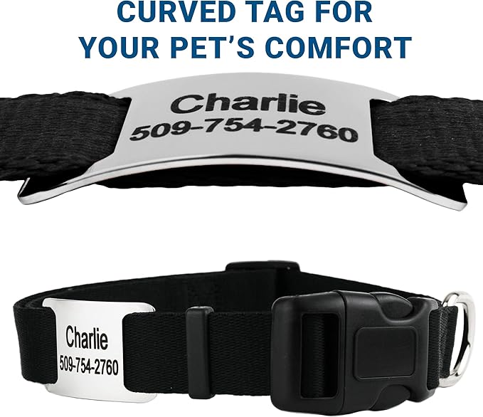 GoTags Personalized Dog Collar with Nameplate, Adjustable Dog Collar with Custom Engraved Slide On Pet ID Tag in Stainless Steel, Silent, No Noise Dog Tag for Large Medium and Small (Black, Medium)