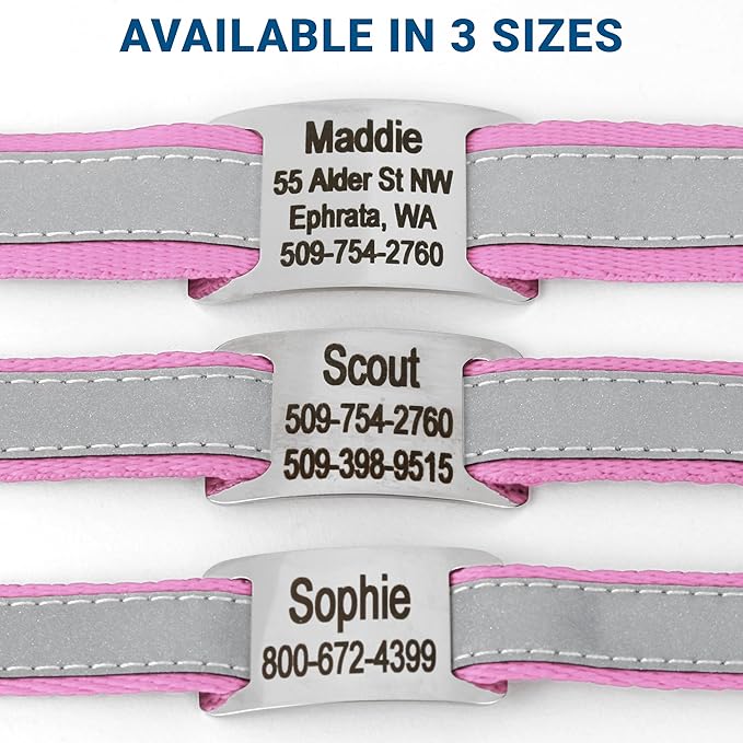 GoTags Reflective Personalized Dog Collar with Nameplate, Adjustable Dog Collar with Custom Engraved Steel Slide On Pet ID Tag, Silent, No Noise Dog Tag for Large Medium or Small (Pink, Large)