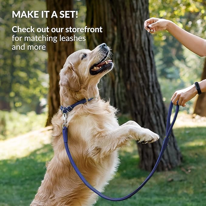 CollarDirect Rolled Leather Dog Collar, Soft Padded Round Puppy Collar, Handmade Genuine Leather Collar Dog Small Large Cat Collars 13 Colors (13-16 Inch, Deep Blue Smooth)