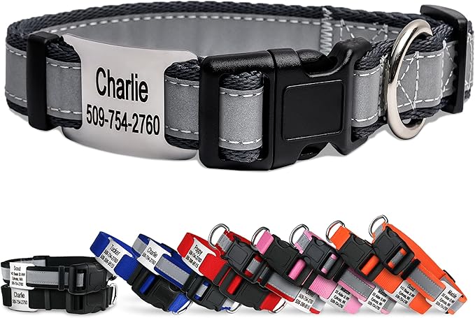 GoTags Reflective Personalized Dog Collar with Nameplate, Adjustable Dog Collar with Custom Engraved Steel Slide On Pet ID Tag, Silent, No Noise Dog Tag for Large Medium or Small (Charcoal, Small)