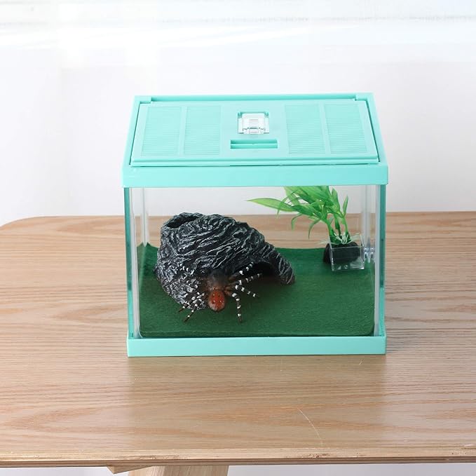 crapelles Reptile Terrarium Tank, Snail Jumping Spider Enclosure, Tarantula Insect Pet Box, Vivarium Tank for Hermit Crab Cricket Gecko Frog, Small Tortoise Habitat Cage (7.8x7.8x5.9 Inches) Green