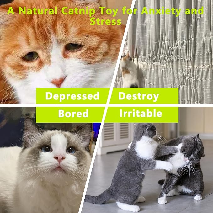 1 Pack Catnip Toys, Soft Cat Pillows Toys, Kitten Caterpillar Catnip Toys,Indoor Interactive Cat Kicker Toys for All Age Cat