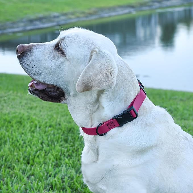 Dogline Biothane Waterproof Dog Collar with Quick Release Buckle Strong Coated Nylon Webbing with Odor- Proof for Easy Care Easy to Clean Fits Small Medium Large Dogs, Magenta Pink 1" W 15-23" L