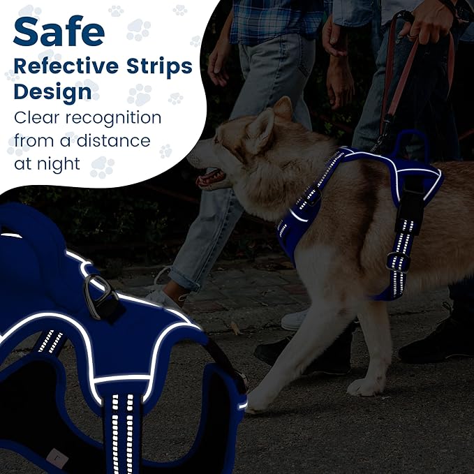 Funfox Dog Harness No Pull, Adjustable Pet Vest Harness, Super Soft Material with Vertical Handle Easy Control, Reflective Night Walking, 2 Leash Clips for Medium Sized Dogs, Blue, M