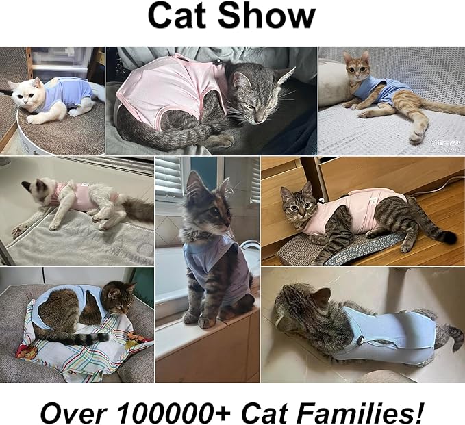 Cat Recovery Suit, Surgical Recovery Clothes for Abdominal Wound or Skin Disease, Cats Onesie After Surgery and Spay, E-Collar Alternative Pajama Suit (Blue, Medium)