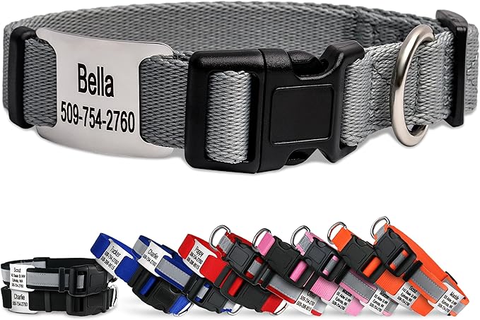 GoTags Personalized Dog Collar with Nameplate, Adjustable Dog Collar with Custom Engraved Slide On Pet ID Tag in Stainless Steel, Silent, No Noise Dog Tag (Light Gray, X-Small)
