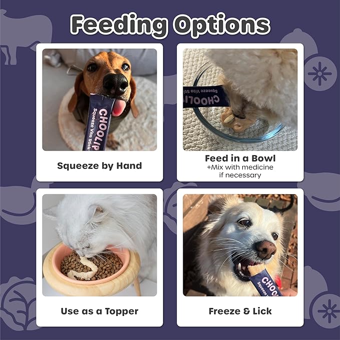 Grab & Go Squeeze Vita Stick Lickable Treats for Dogs & Cats. 49 Brain Support Sticks with Essential multivitamins. Soft and Tasty Paste for All Life Stages, Supporting Brain Health