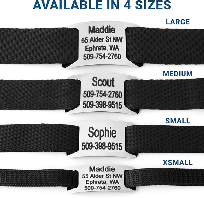 GoTags Personalized Dog Collar with Nameplate, Adjustable Dog Collar with Custom Engraved Slide On Pet ID Tag in Stainless Steel, Silent, No Noise Dog Tag for Large Medium and Small (Black, Large)