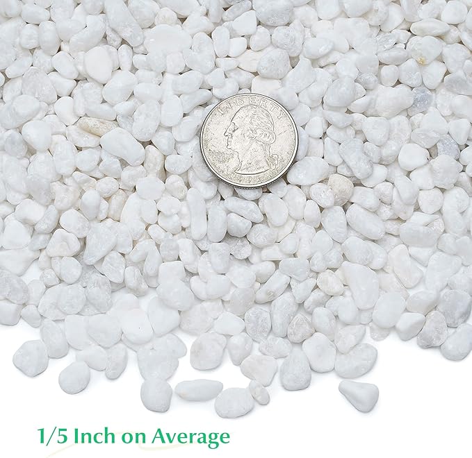 Mr. Fireglass 5 lbs White Pebbles,1/5" Natural Decorative River Rocks Aquarium Gravel for Indoor Plants, Vases, Succulents and Outdoor Garden Landscaping