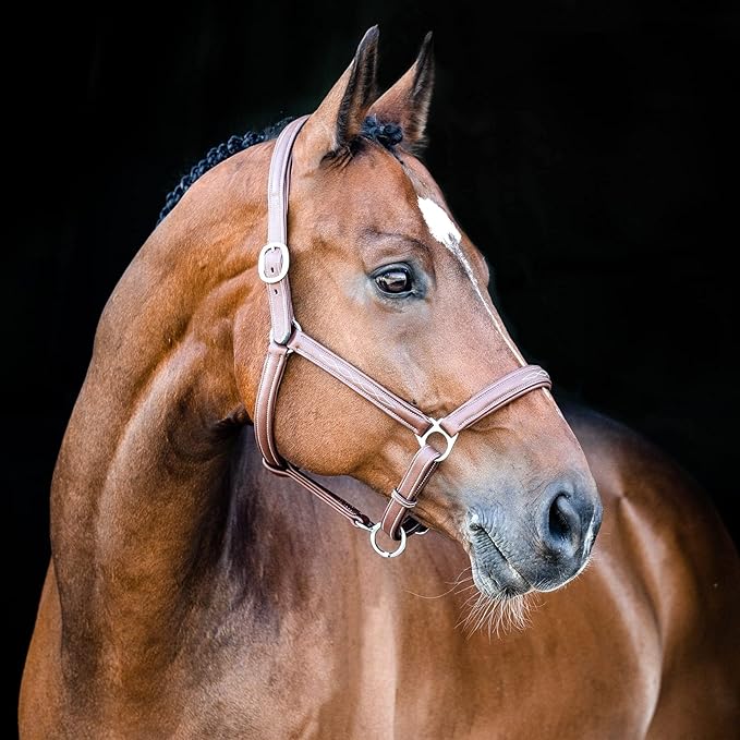 HORZE Warren Soft Adjustable Genuine Leather Horse Halter | Stainless Steel Hardware - Light Brown - Warmblood