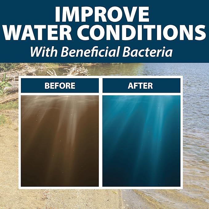 Airmax Pond Dye Plus, Nature's Blue Colorant & Natural Beneficial Bacteria, Large Pond & Lake Water Clarifier & Color Treatment, Shade Plants & Algae from Sunlight, Fish & Livestock Safe, 1 Gallon