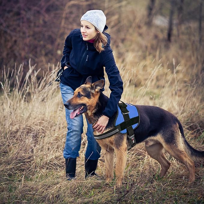 Dogline Dog Harness, Reflective No-Pull Adjustable Vest with Handle for Walking, Training, Breathable, No - Choke Harness for Small, Medium or Large Dogs Room for Patches Girth 27 to 34 in Cyan Blue