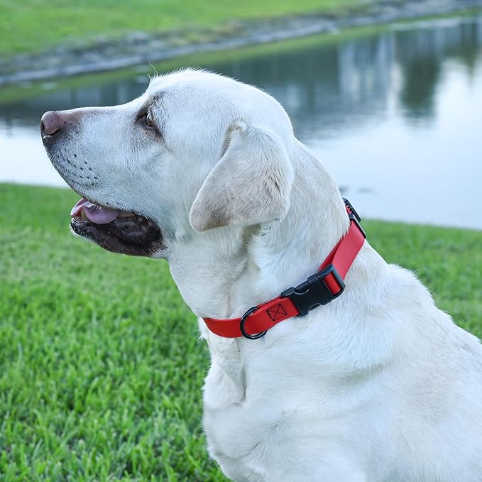 Dogline Biothane Waterproof Dog Collar with Quick Release Buckle Strong Coated Nylon Webbing with Odor- Proof for Easy Care Easy to Clean Fits Small Medium or Large Dogs, Red 1" W 15-23" L
