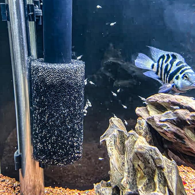 6X Pre-Filter Sponge for Aquarium Shrimp Fry Fish Tank Filter Pump Prefilter Sponge Replacement Foam Cover 3.2 X 1.6 Inch with 0.8" Hole Diameter