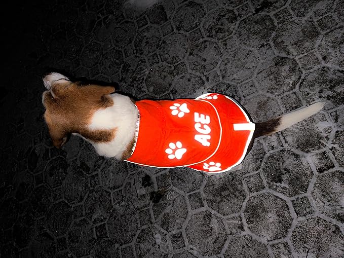 Custom Reflective Dog Vest High Visibility Reflective Jacket for Dogs Hunting Safety Gear with Elastic Strap & Clasp, Comfortable, Perfect for Day and Night Walks!