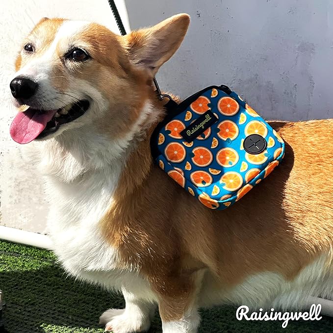 Dog Treat Pouch for Pet Walking and Training with Clicker Poop Bags Small Fanny Zipper Pack Holder for Puppy Snack Dispenser Kit for Leash and Outdoor Use (Fruit Orange)