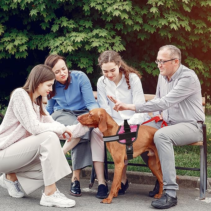 Dogline Dog Harness, Reflective No-Pull Adjustable Vest with Handle, Breathable No-Choke Harness for Small, Medium or Large Dogs Room for Patches Girth 18 to 24 in Pink Camo