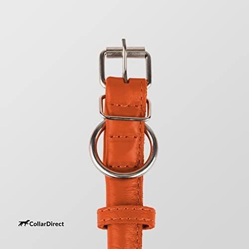 CollarDirect Rolled Leather Dog Collar, Soft Padded Round Puppy Collar, Handmade Genuine Leather Collar Dog Small Large Cat Collars 13 Colors (13-16 Inch, Orange Textured)