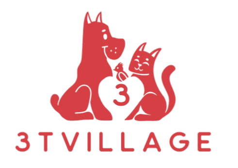 3TVillage