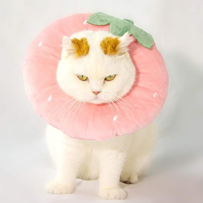 Adjustable Cat Recovery Collar Soft,Cute Pet E-Collar Neck Cone After Surgery Wound Healing Protective Cone Fit for Kitties, Small Dogs(ELC05-strawberry-s)