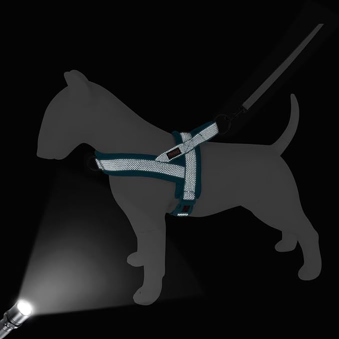 Didog No Pull Dog Harness with Breathable Mesh Padded, Full Reflective & Quick Fit Adjustable Vest Harness, Easy for Training Walking for Small & Medium and Large Dogs (Blue, M:Chest 21-26")