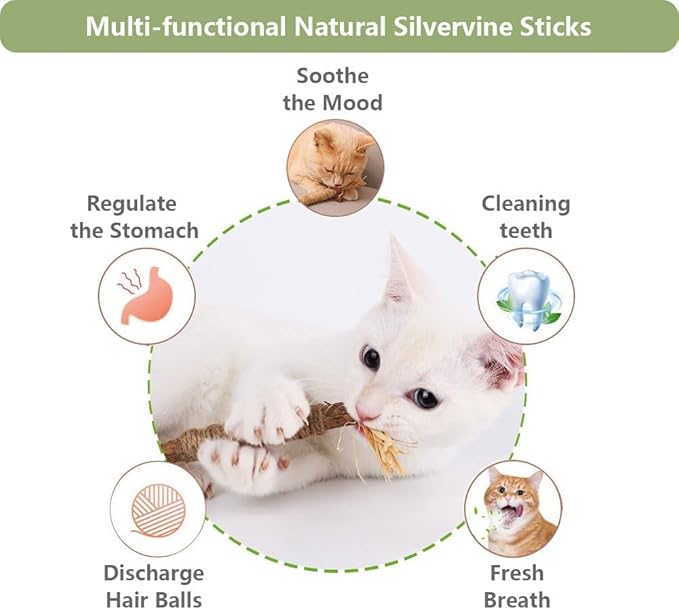 5 PCS Silvervine Sticks for Cats - Natural Cat Chew Toys for Teeth Cleaning, Kitten Teething & Aggressive Chewers